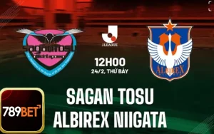 Soi Kèo Trận Đấu: Sagan Tosu Vs Albirex